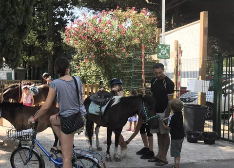 Camping Maïana Resort, 4* - 18