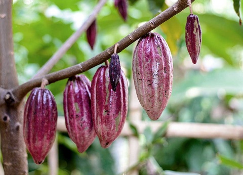 Circuit Volcans et peuples oubliés - 4