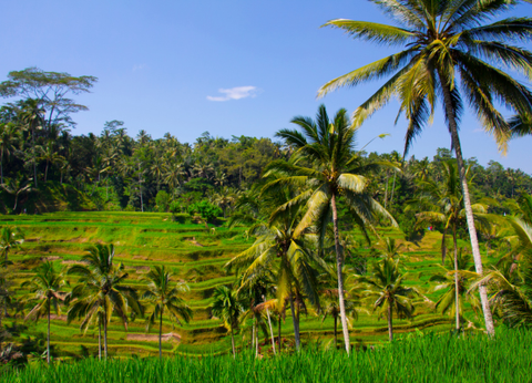 Circuit Secrets de Bali et Plage - 13