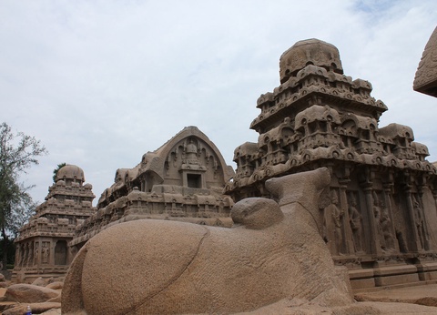 Circuit Douceurs de l'Inde du sud - 16