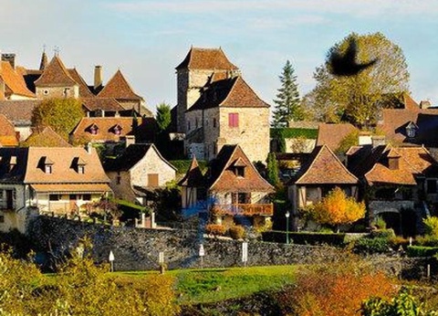 Camping Les Cigales 3* - 41