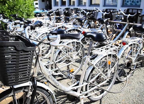 Camping Val de Loire en Ré, 4* - 18