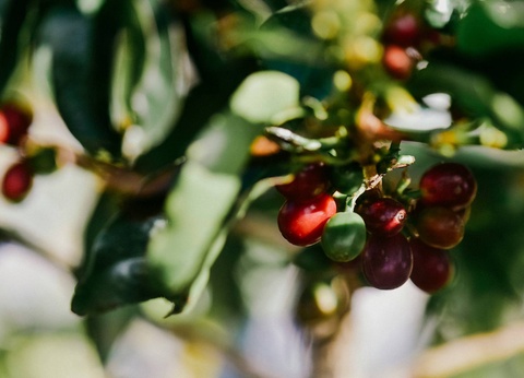 Combiné hôtels Loin du monde : séjour secret sur les rivages costaricains - 4