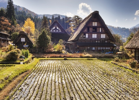 Circuit individuel : L'intégral du Japon en 3* ou 4* - 19