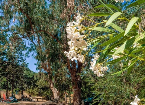 Camping U pezzo, 2* - 15