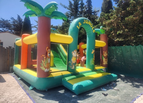 Camping Flamants Roses 4* - 11