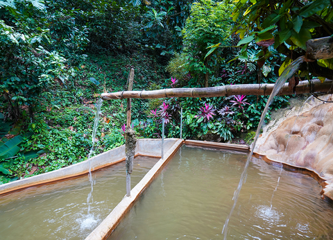 Croisière Dream Caraïbes Premium - 3