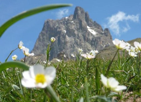 Camping du Lac, 4* - 54