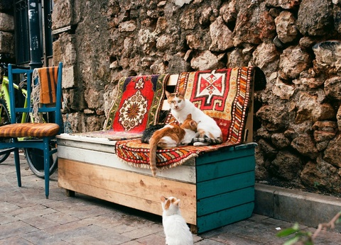 Circuit Sur les traces des sultans et des fées : de la capitale aux rivages d'Antalya - 2
