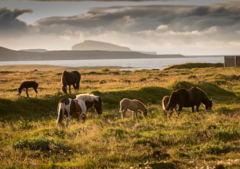 Circuit individuel Sources Chaudes et Route Arctique - 21