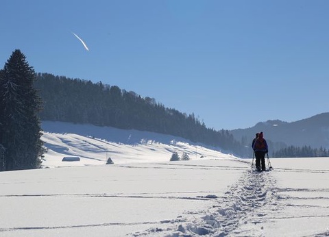 Splendeurs de l'Hiver Canadien 9J/7N - 2025/2026 - 4