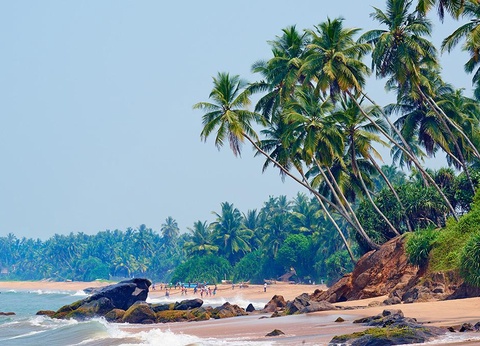 Circuit Merveilles de Ceylan 3*/4* - 14