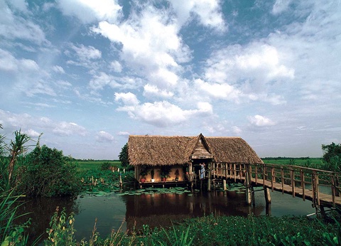 Circuit Vietnam Multicolore - 15