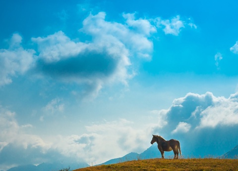 Circuit individuel: La grande traversée du Japon en 3 semaines - 2