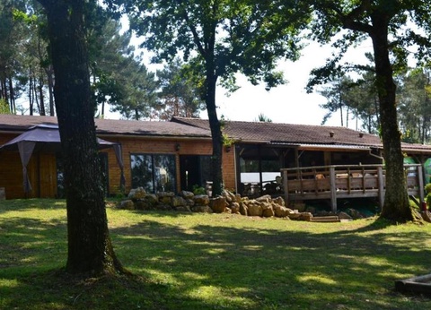 Camping Domaine des Grands Pins 4* - 2