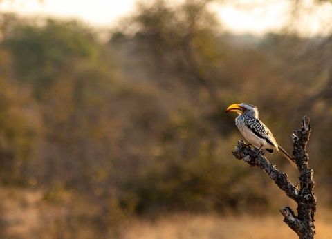 Circuit L'âme sauvage : voyage entre Kenya et Tanzanie - 6