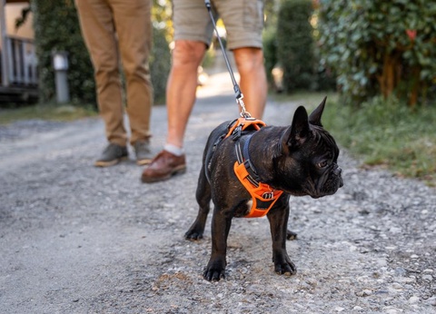 Camping Biper Gorri, 4* - 48