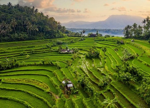 Circuit La Palette Indonésienne - 15