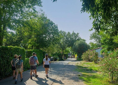 Camping Sites et Paysages - Le Petit Bois, 4* - 12