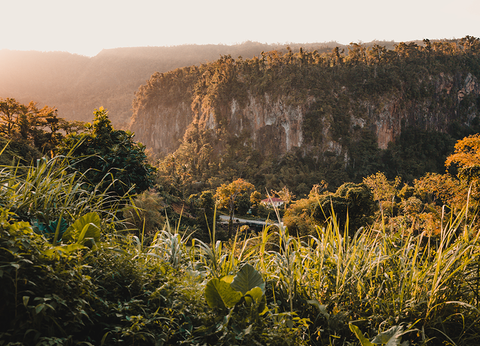 Croisière Dream Guadeloupe - 11