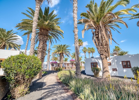 Hôtel Ona Las Brisas 4* - 29