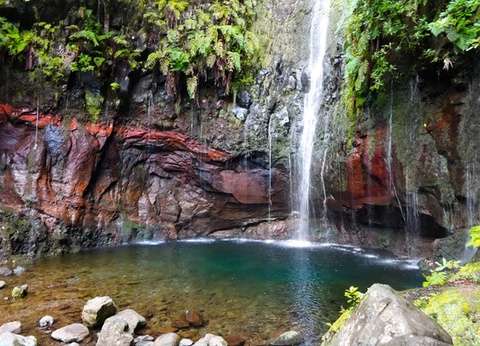 Circuit Douceurs de Madère **** - 15