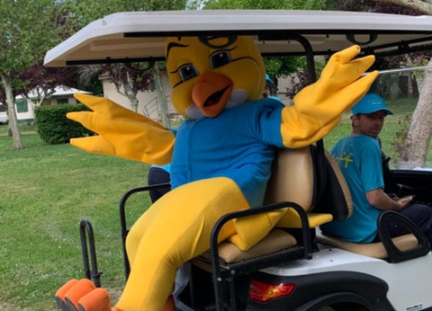 Camping Paradis Aubeterre sur Dronne, 3* - 9