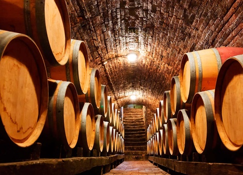 Bien-être, gourmandise et découverte oenologique à Saumur - 3* - 26