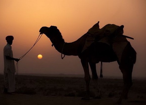 CIRCUIT RAJASTHAN BUISSONNIER - 3