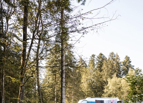 Flower Camping La Steniole, 4* - 23