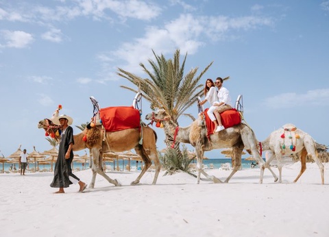 Club Eldorador Djerba Golf Resort & Spa 4* - 7