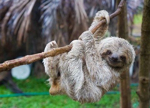 Circuit Immersion au Costa Rica - 9