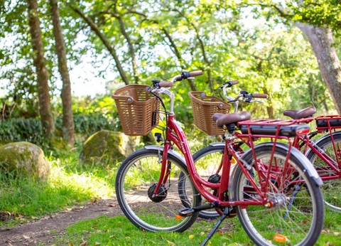 Camping maeva escapades Sun Océan, 3* - 29