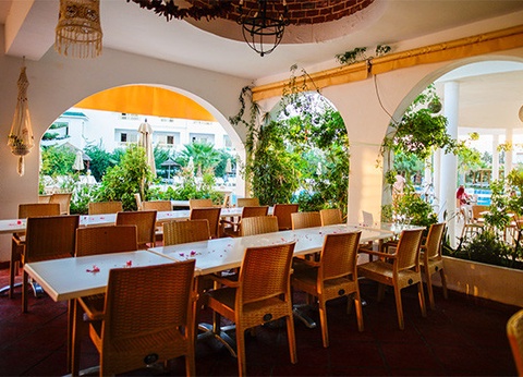 Club Jumbo Zodiac 4* - 14