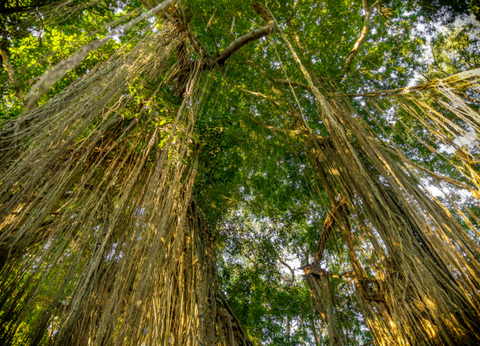 Circuit De Bali à Lombok et Gili 4* - 3