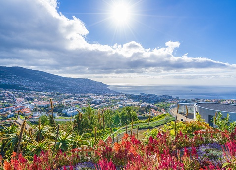 Circuit Joyaux de Madère et Orca Praia 4* Adult Only +16 by Ôvoyages - 10