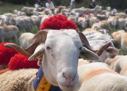 Camping Les Gorges de l'Herault, 3* - 28