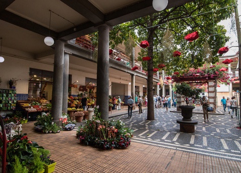 Circuit Douceurs de Madère **** - 12