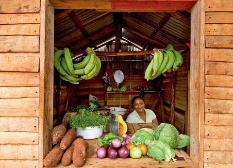 Circuit Échappée Dominicaine depuis le Catalonia Royal La Romana 5* - 5