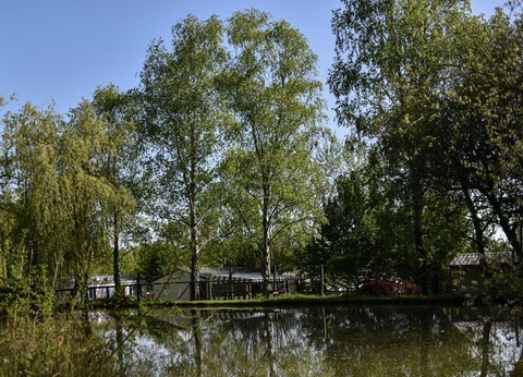 Camping Paradis - Domaine de Bellevue, 4* - 51