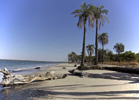 Circuit Saveurs du Sénégal - 10