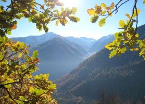 Camping du Lac, 4* - 36