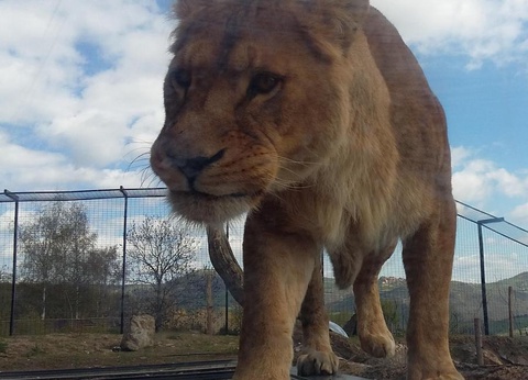 Camping Le Pont d'Allagnon, 3* - 32