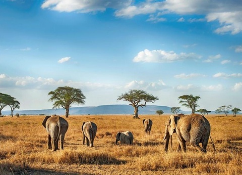 Hôtel Kena Beach Resort by Ovoyages et Safari 2nuits - 15