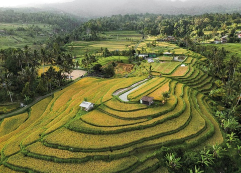 Circuit De la jungle d'Ubud aux vagues de Nusa Lembongan **** - 2