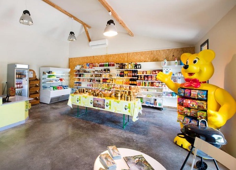 Flower Camping Les Ondines, 3* - 31