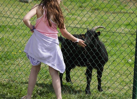 Camping Le Florenville, 3* - 52