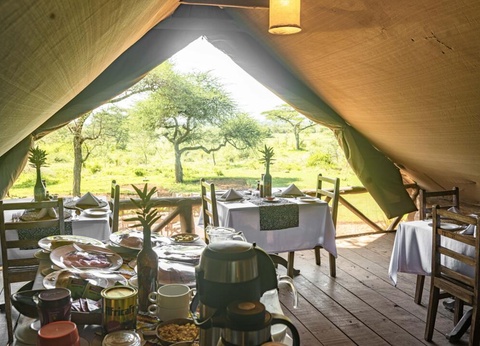 Safari Privatif - Aventure Tanzanienne - 29