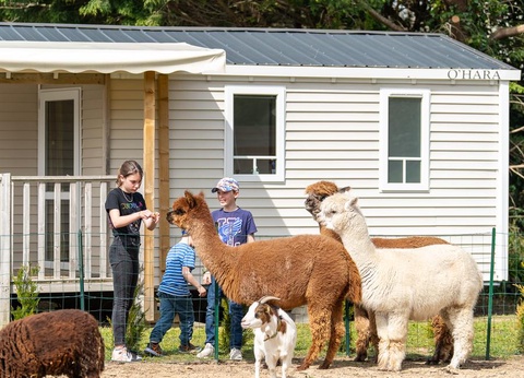 Camping Les Carolins, 3* - 9