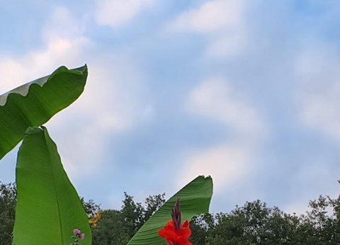 Camping Moulin de David 4* - 5